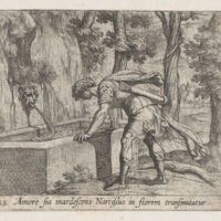 Narcissus.jpg